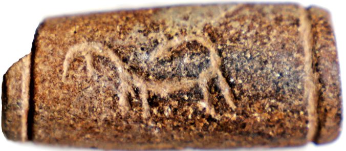 Cylinder Seal