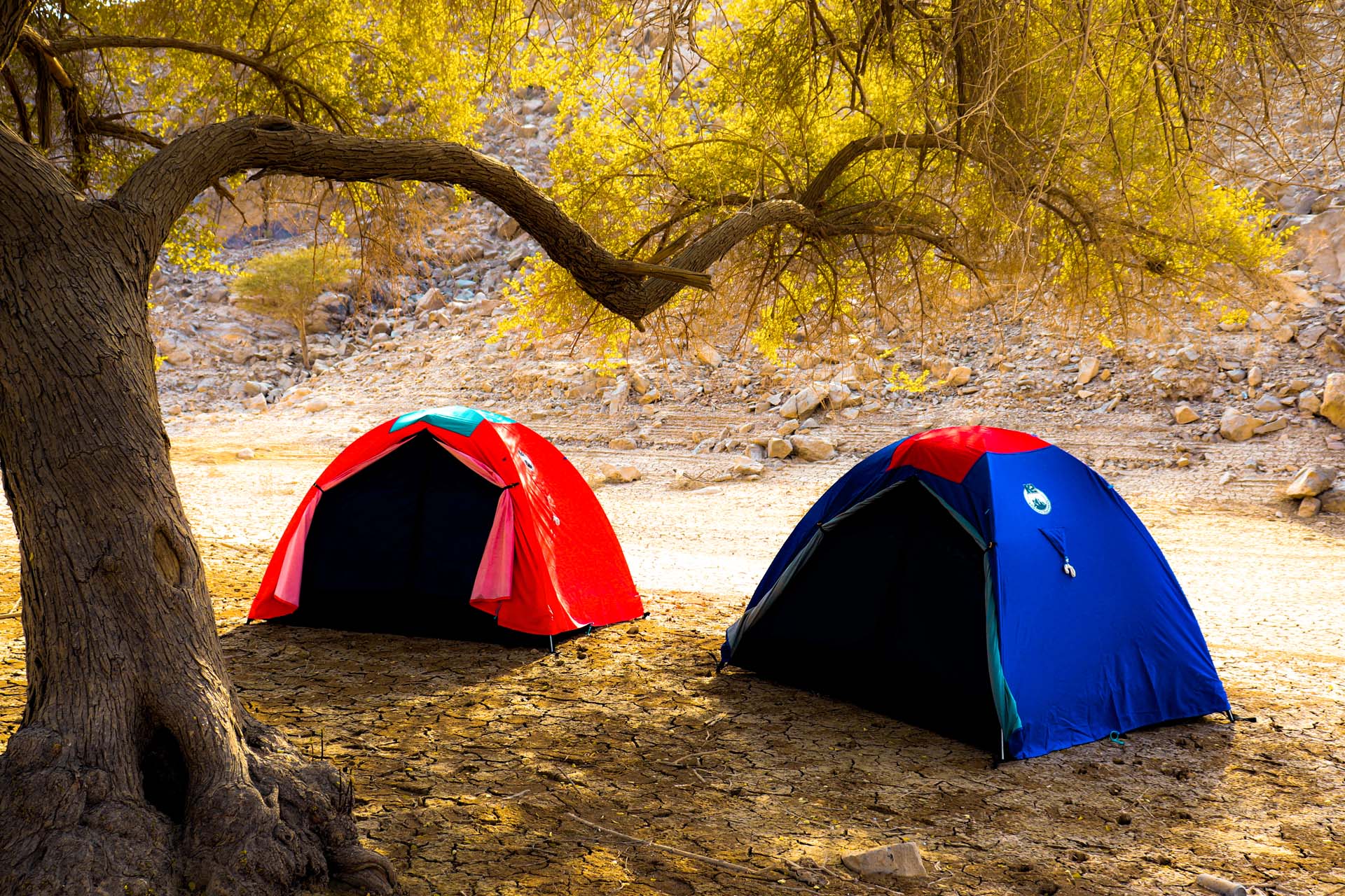 Camping